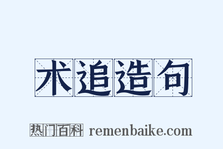 术追造句是什么意思的图片